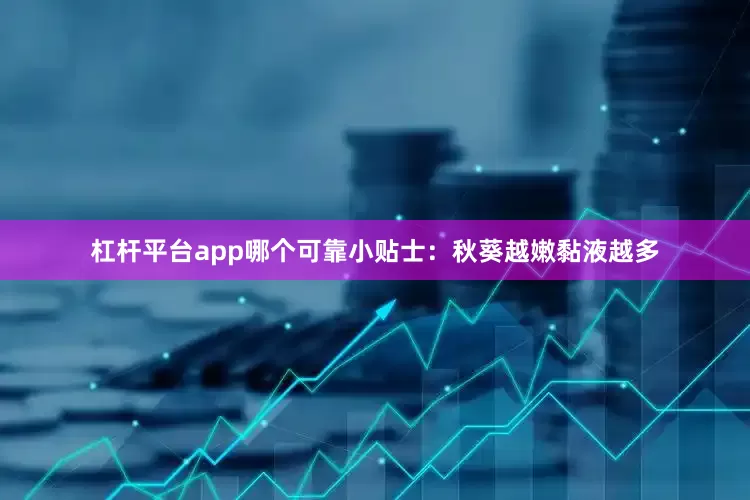 杠杆平台app哪个可靠小贴士：秋葵越嫩黏液越多