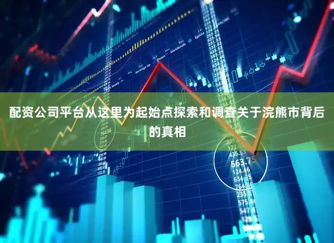 配资公司平台从这里为起始点探索和调查关于浣熊市背后的真相