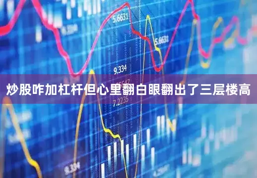 炒股咋加杠杆但心里翻白眼翻出了三层楼高