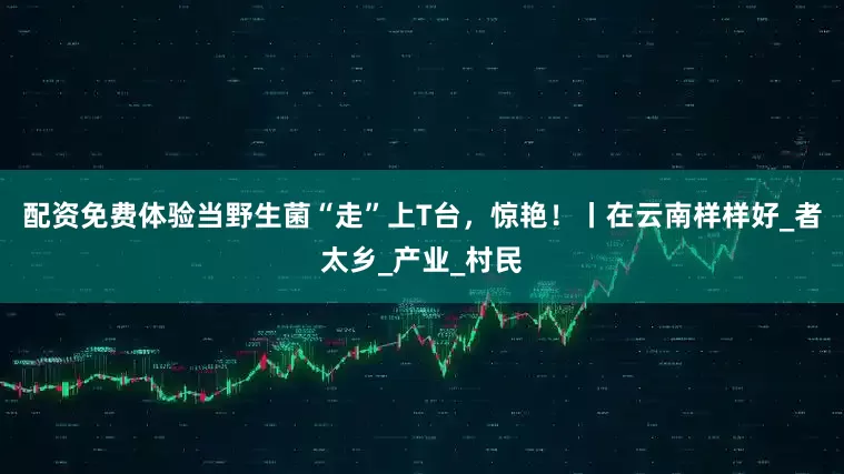 配资免费体验当野生菌“走”上T台，惊艳！丨在云南样样好_者太乡_产业_村民