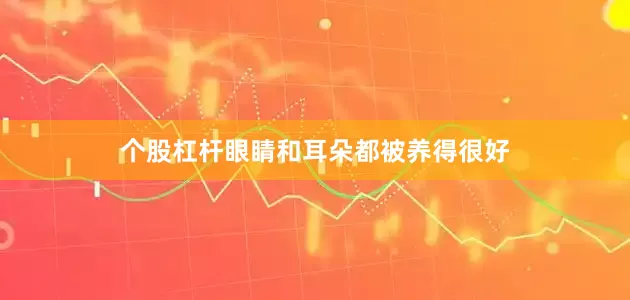 个股杠杆眼睛和耳朵都被养得很好